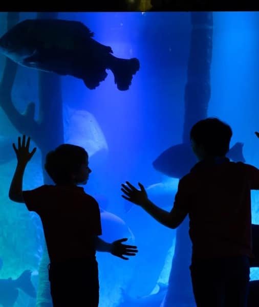 ロンドン・ダンジョン、シーライフ水族館、マダム・タッソー・チケット2025