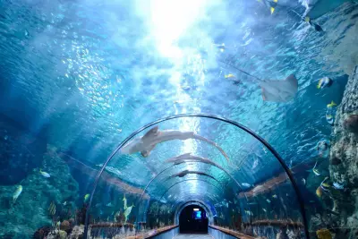 ロンドン・ダンジョン、シーライフ水族館、マダム・タッソー蝋人形館チケット